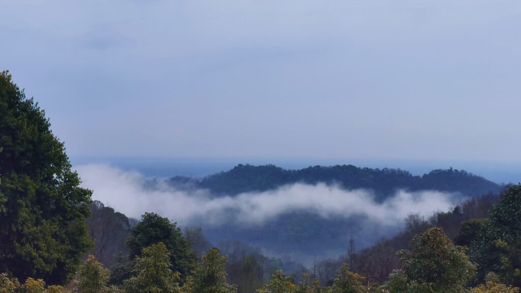 meitu 20250305 1859077881