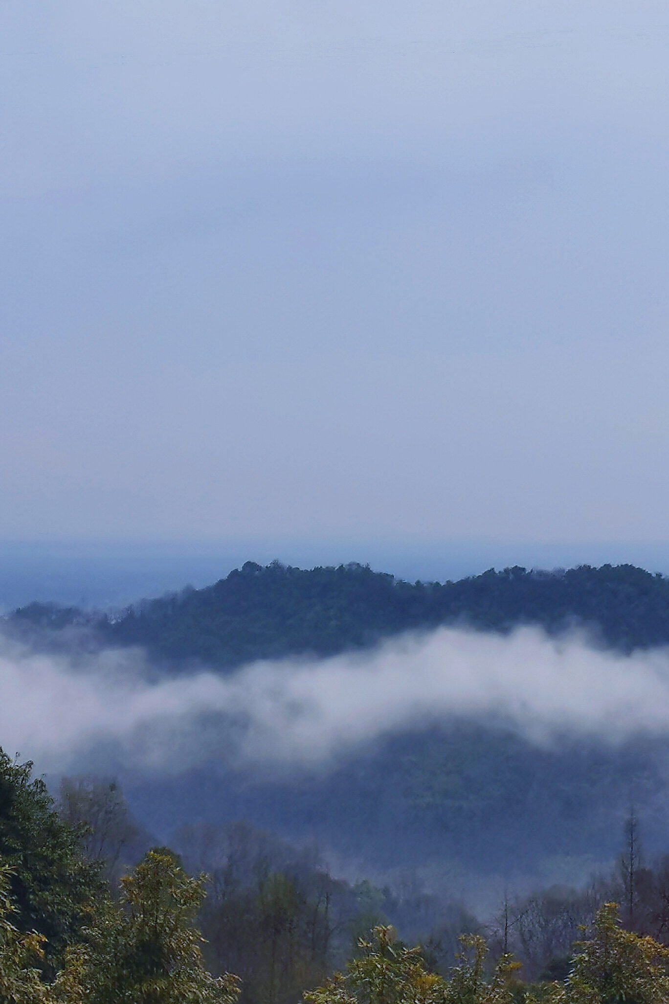 meitu 20250305 1859077881