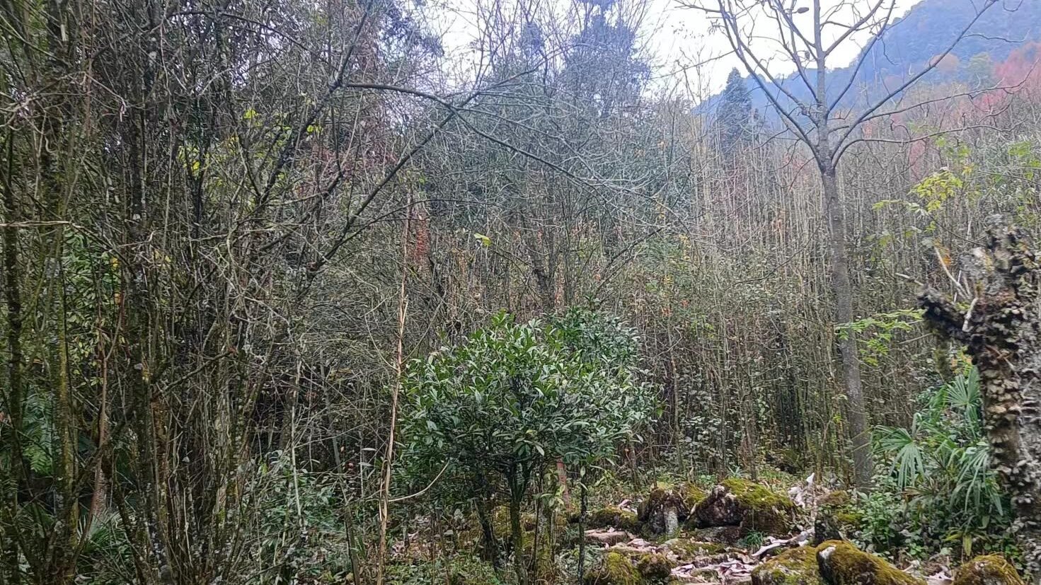 微信图片 20240412213341